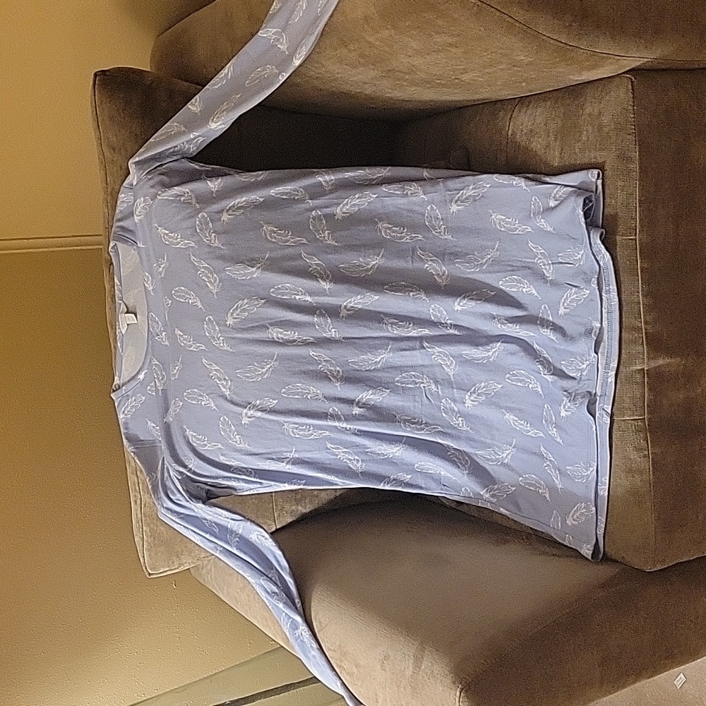 Blue and white nightgown